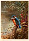 Archibald Thorburn Famous Paintings - Summer Kingfisher